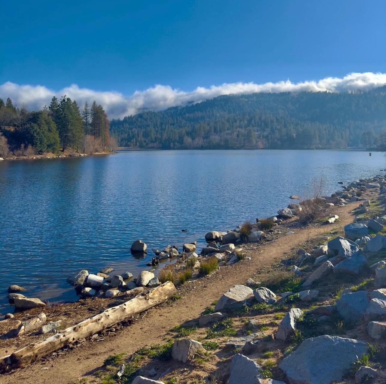Bluebird Cabin Crestline Экстерьер фото